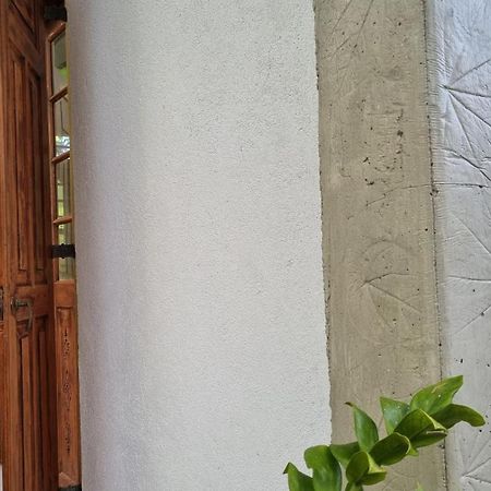 Colive Ahangama Exterior photo